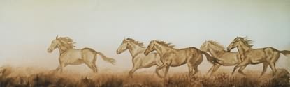 Horses